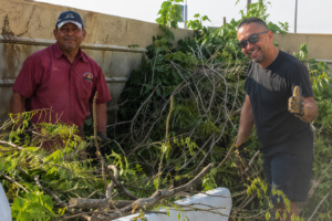 Community Cleanups - higher res