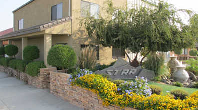 STRR Office